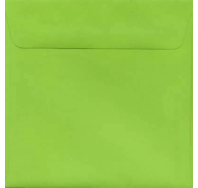 Kaskad Parakeet Green 150mm Sq Envelope