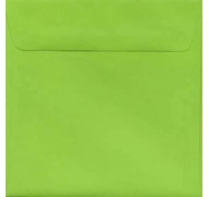 Kaskad Parakeet Green 13sq Envelope - Pack of 20