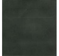 Kaskad Raven Black - 105mm Sq Envelope